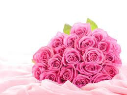 Pink Roses